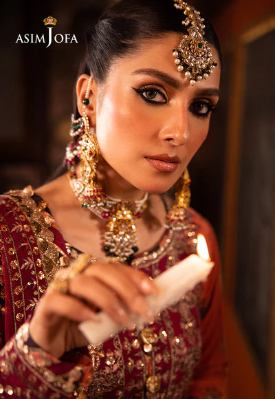 AJMM-01 EMBROIDERED VELVET 3 PCS