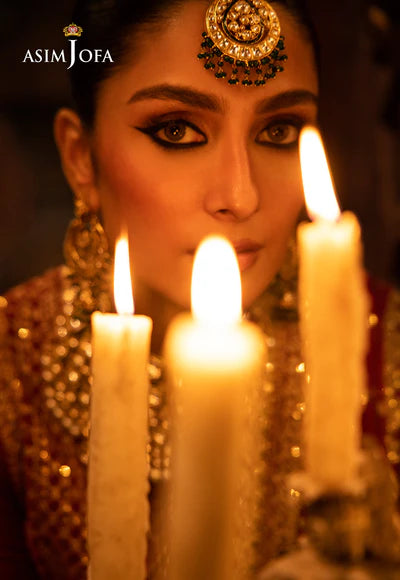 AJMM-10 EMBROIDERED VELVET 3 PCS